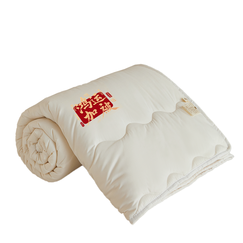 PLOVER 鸿运加被 保暖被芯 加厚春秋被冬季棉被 白色
